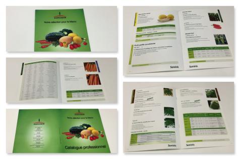 Catalogues pour Agrosem Seminis