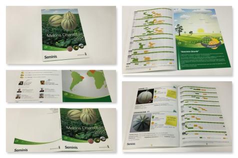 Catalogues pour Seminis Monsanto