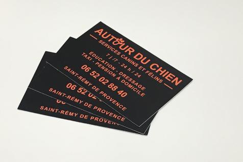 Cartes de visite pour l'entreprise Autour du Chien à Saint-Rémy de Provence
