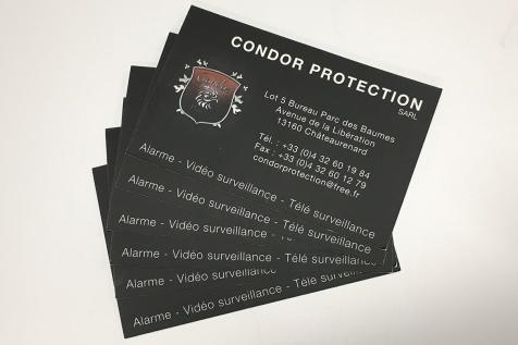 Carte de visite pour Condor Protection