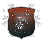 condor-protection-easy-agence-communication.png